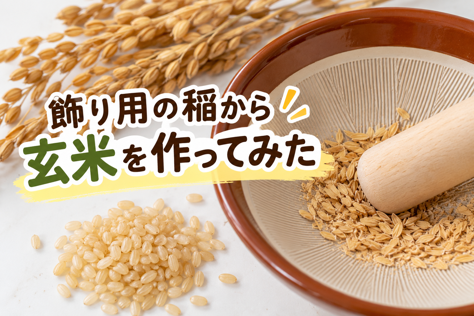 飾り用の稲を使い、すり鉢とすりこぎで籾すりに挑戦して玄米を作った体験ブログのアイキャッチ画像